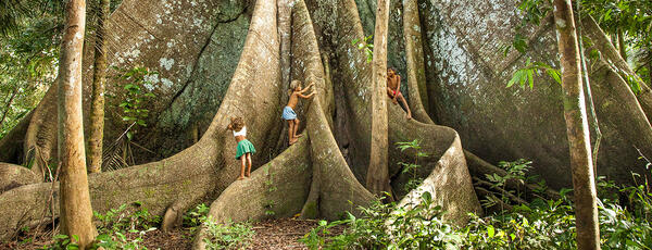 Barn som leker i regnskogen